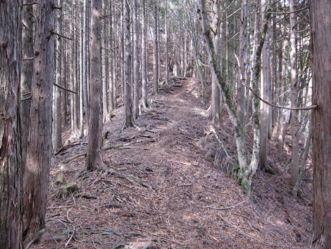 20190205hike (136)
